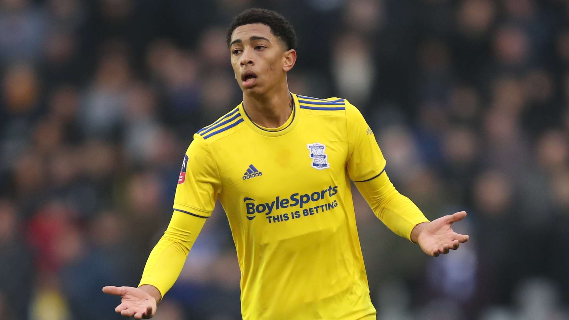 足球运动 足球运动