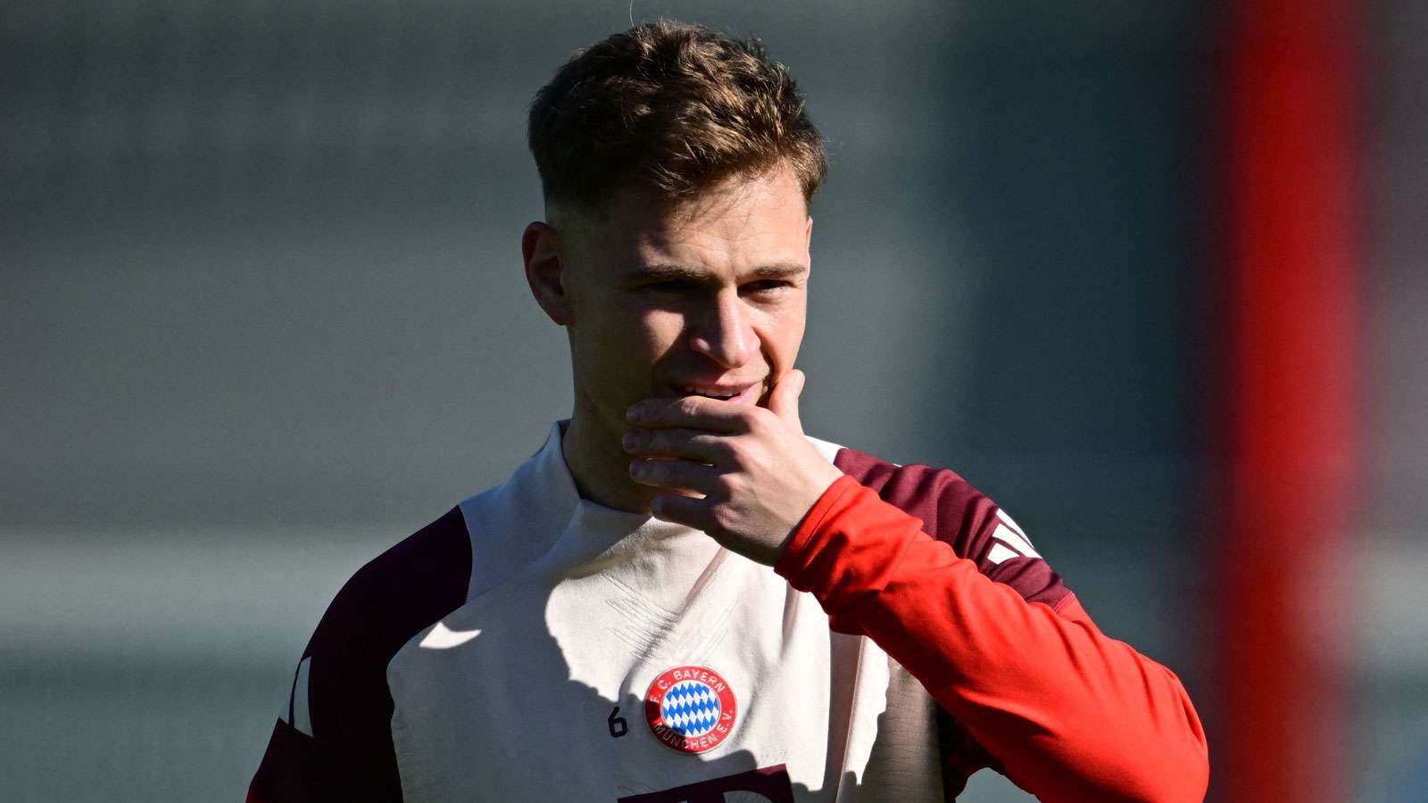 展现了顽强 展现了顽强